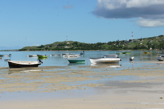 Rodrigues_2016_125