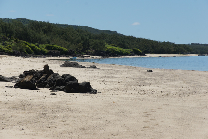 Rodrigues_2016_135