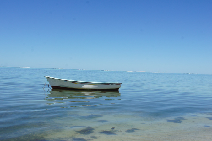 Rodrigues_2016_142