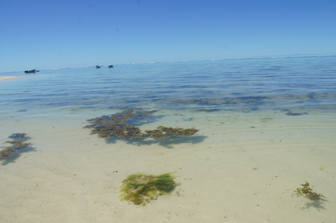 Rodrigues_2016_144