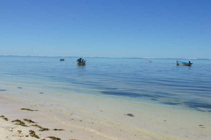 Rodrigues_2016_145