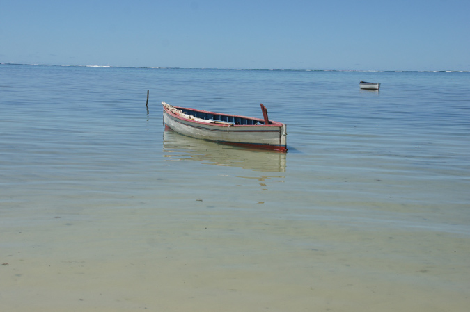 Rodrigues_2016_146