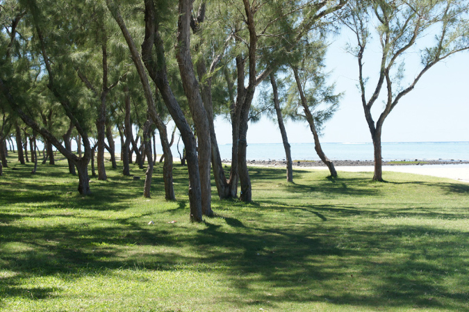 Rodrigues_2016_147