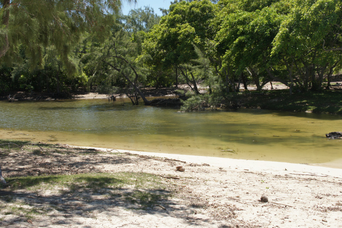 Rodrigues_2016_148