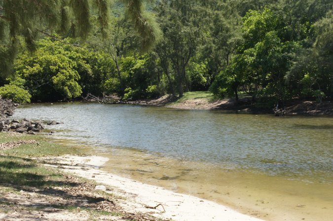 Rodrigues_2016_149