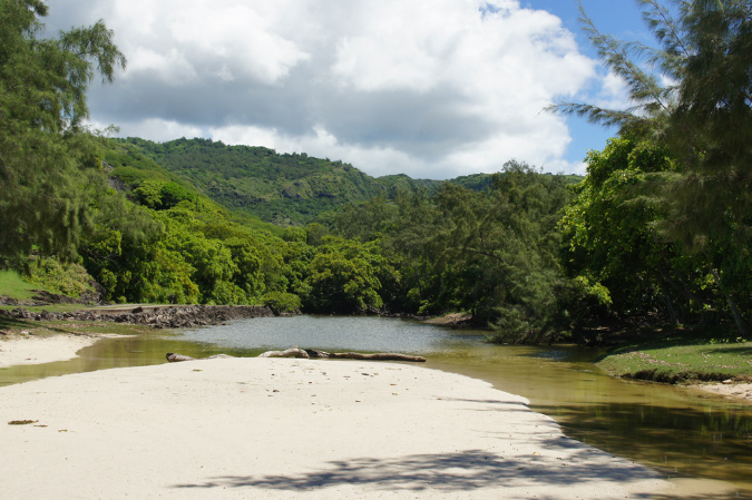 Rodrigues_2016_150
