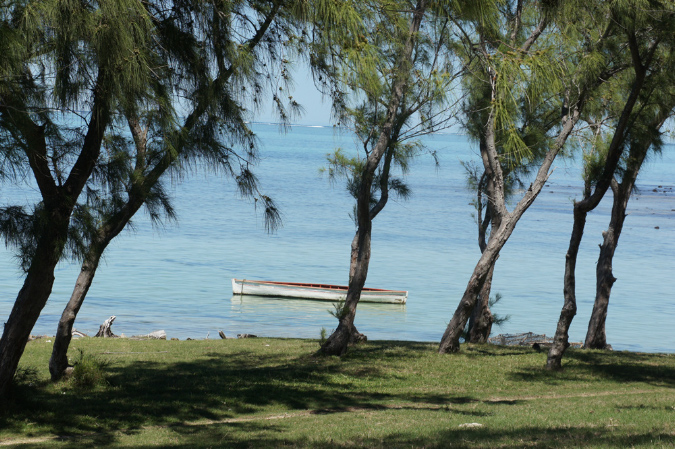 Rodrigues_2016_152