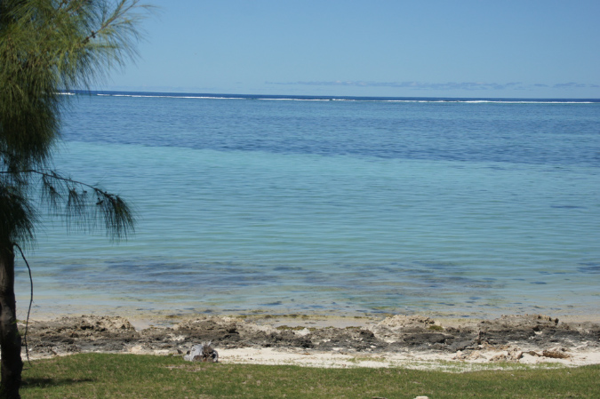 Rodrigues_2016_153