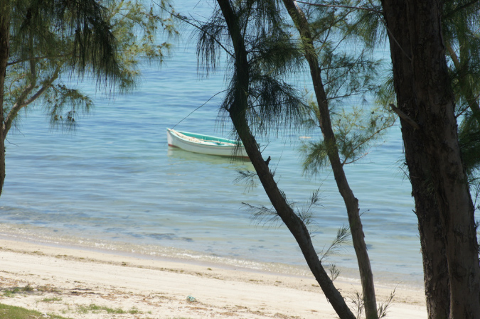 Rodrigues_2016_155
