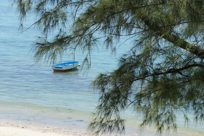 Rodrigues_2016_156