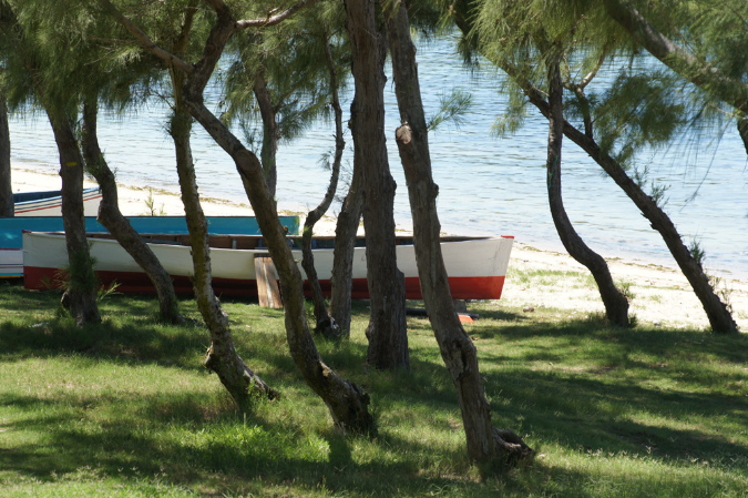 Rodrigues_2016_157