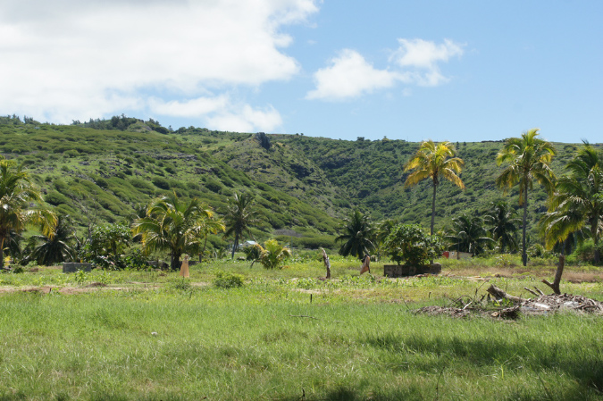 Rodrigues_2016_159
