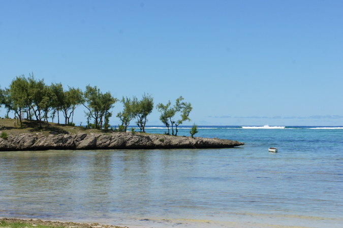 Rodrigues_2016_160
