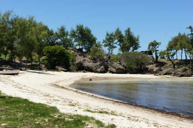 Rodrigues_2016_161