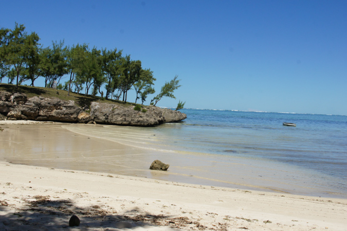 Rodrigues_2016_162