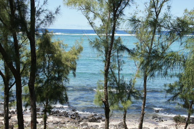 Rodrigues_2016_165