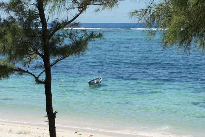 Rodrigues_2016_167
