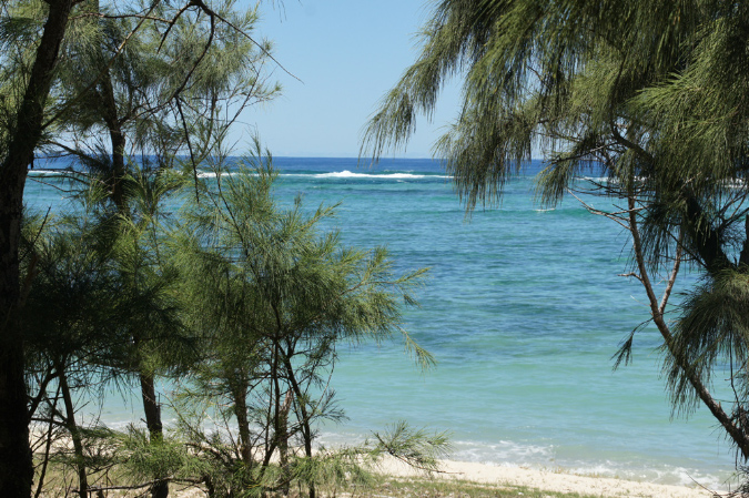Rodrigues_2016_171