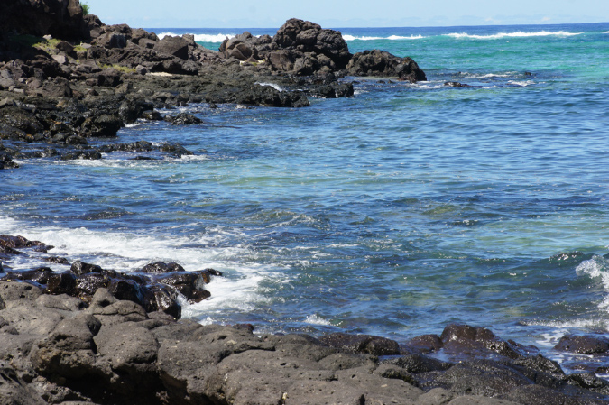 Rodrigues_2016_172