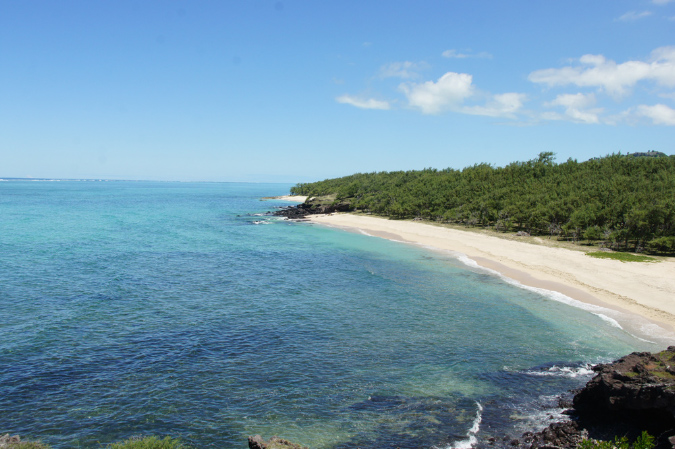 Rodrigues_2016_177