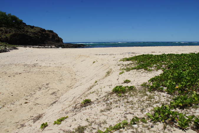 Rodrigues_2016_182