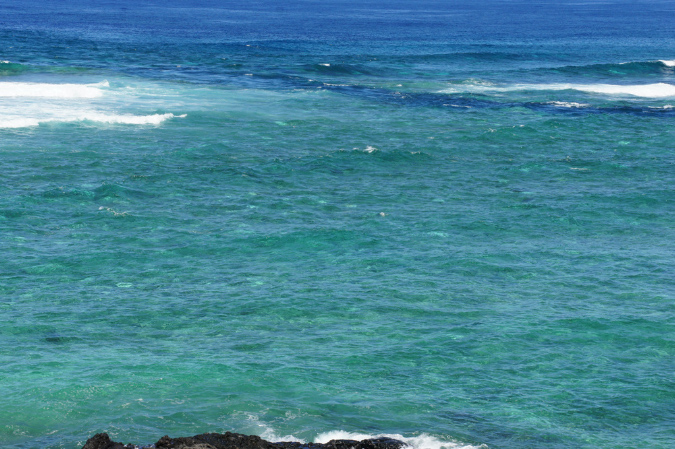 Rodrigues_2016_188