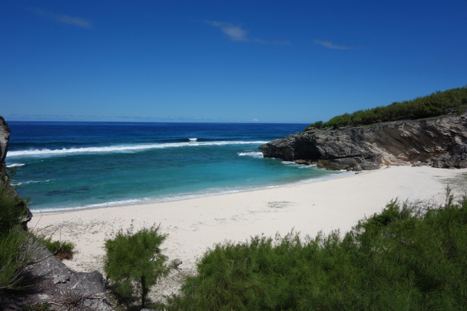 Rodrigues_2016_209