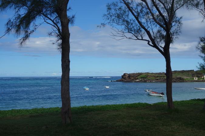 Rodrigues_2016_216