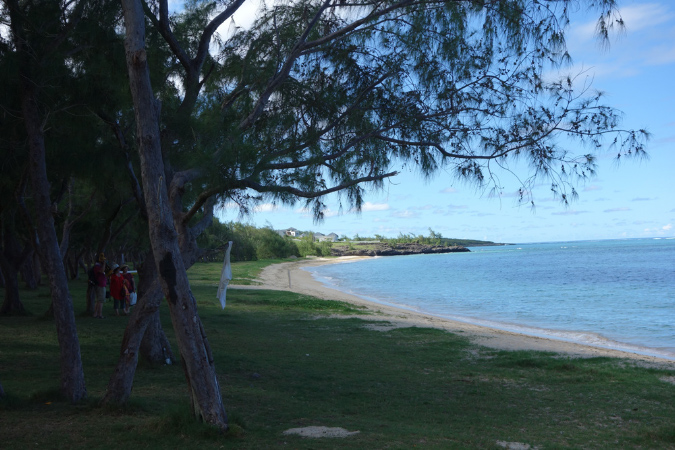 Rodrigues_2016_217