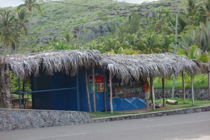 Rodrigues_2016_221