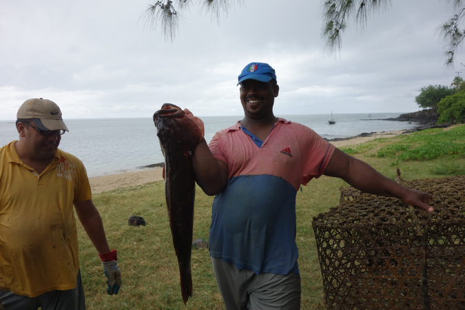 Rodrigues_2016_241