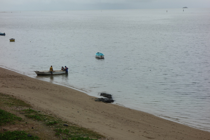 Rodrigues_2016_244