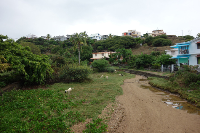 Rodrigues_2016_248