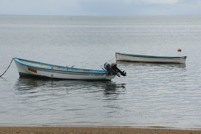 Rodrigues_2016_252