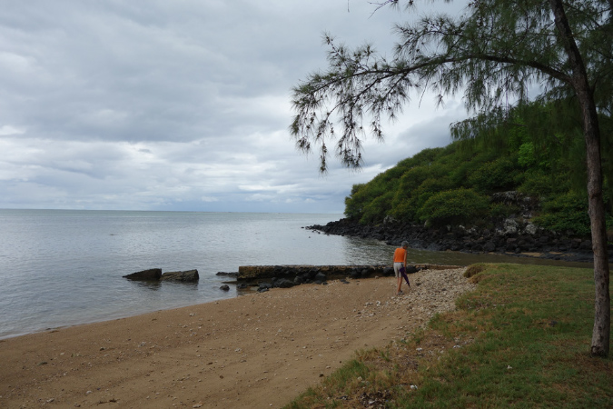 Rodrigues_2016_254