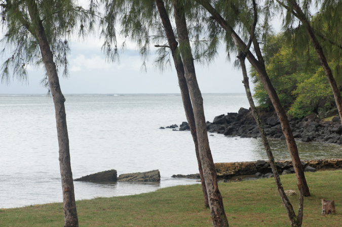 Rodrigues_2016_255