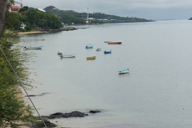 Rodrigues_2016_261