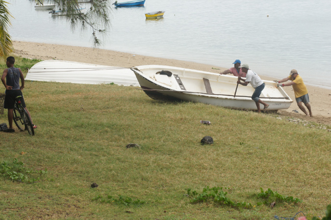 Rodrigues_2016_266