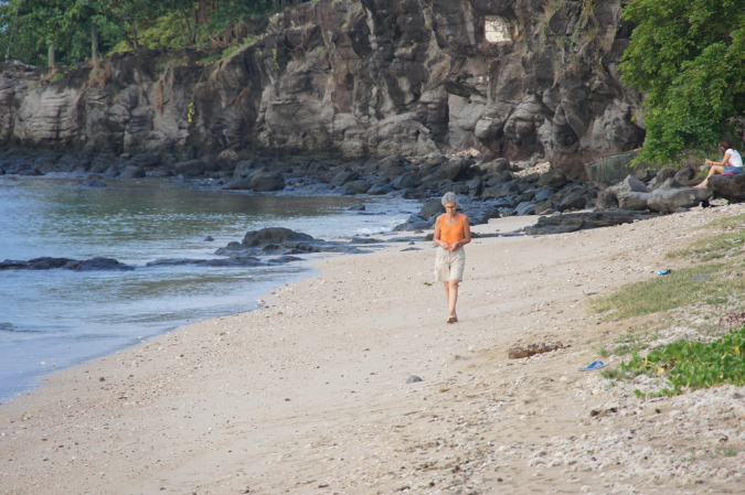 Rodrigues_2016_276