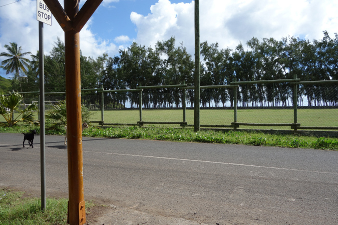 Rodrigues_2016_296