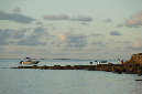 Rodrigues_2016_010