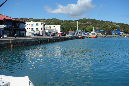 Rodrigues_2016_038