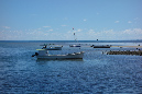 Rodrigues_2016_040