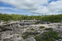 Rodrigues_2016_054
