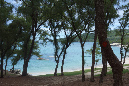 Rodrigues_2016_055