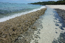 Rodrigues_2016_059