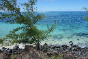 Rodrigues_2016_066
