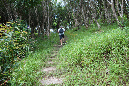 Rodrigues_2016_075