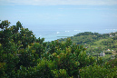Rodrigues_2016_079