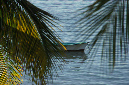 Rodrigues_2016_102